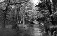 The Stream c.1955, Pewsey