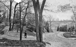 View In Fairmount Park c.1872, Philadelphia