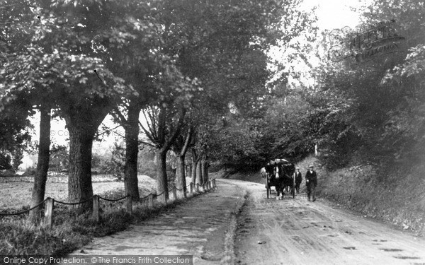 Photo of Pickering, Newbridge Road c.1900