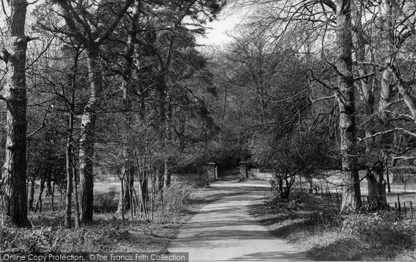 Photo of Pirbright, Admirals Walk c.1955