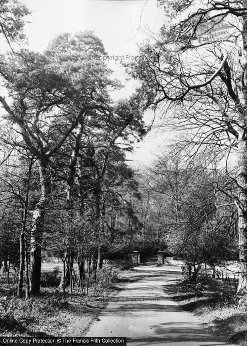 Photo of Pirbright, Admirals Walk c.1955