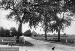 Bisley Road 1908, Pirbright