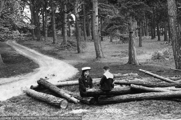 Photo of Pirbright, In The Woods 1908