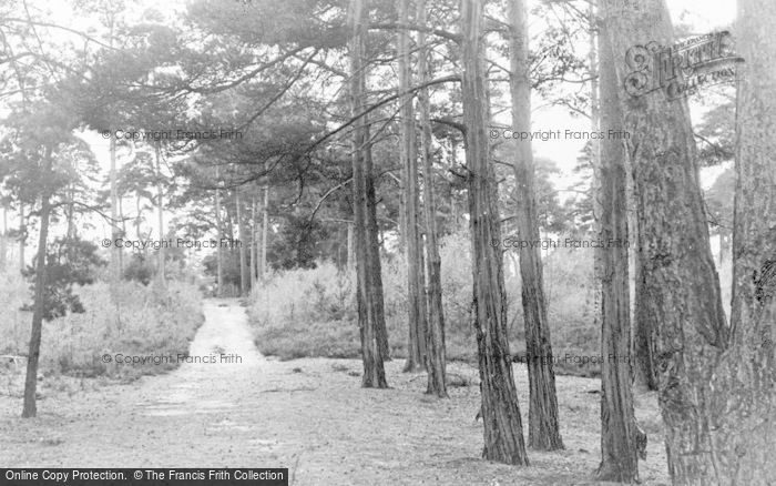 Photo of Pirbright, The Pines, Admirals Walk c.1955