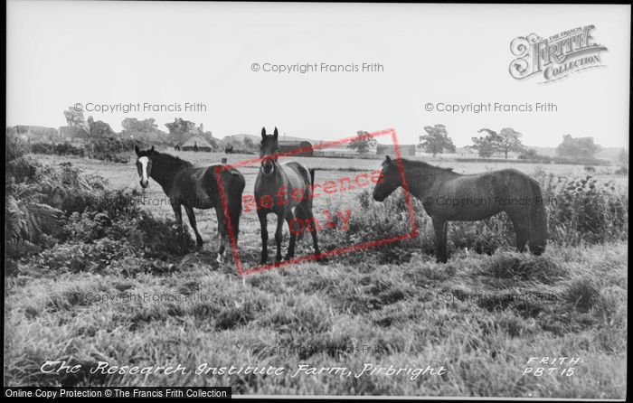 Photo of Pirbright, The Research Institute Farm c.1955