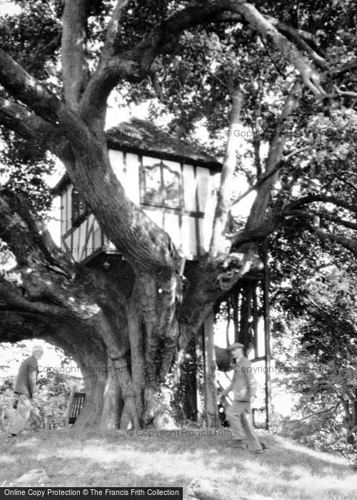 Photo of Pitchford, Pitchford Hall, The Lime Tree Summer House 1948