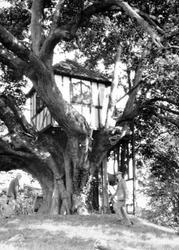 Pitchford Hall, The Lime Tree Summer House 1948, Pitchford