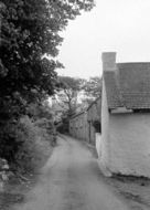 The Village 1963, Pitton