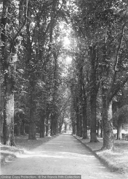 Photo of Pluckley, Surrenden Avenue 1901