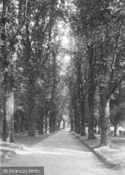 Surrenden Avenue 1901, Pluckley