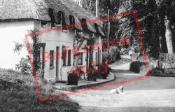 The Village c.1955, Plush