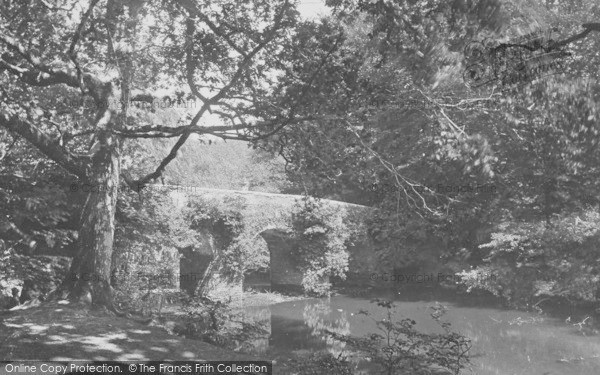 Photo of Plym Bridge, The Bridge 1890