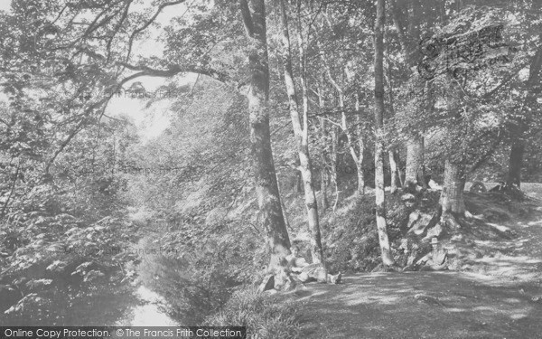 Photo of Plym Bridge, The Woods 1925