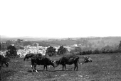 St Maurice 1890, Plympton