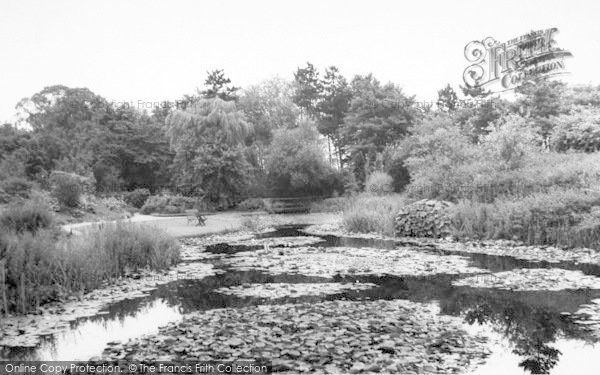 Photo of Pocklington, Burnby Hall Gardens c.1960