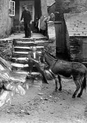 A Donkey At The Old Smugglers Cottage 1924, Polperro