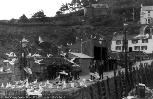 Photo of Polperro, Landing The Catch c.1955