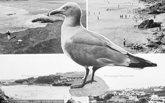 Photo of Polzeath, Composite With A Seagull c.1955