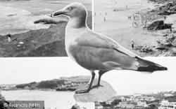 Composite With A Seagull c.1955, Polzeath