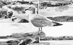 Composite With A Seagull c.1960, Polzeath