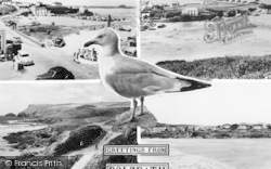 Composite With A Seagull c.1960, Polzeath