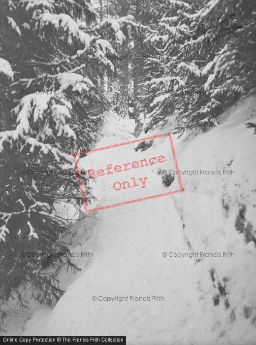 Photo of Pontresina, Snow c.1937