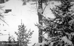 Snowy Trees c.1937, Pontresina