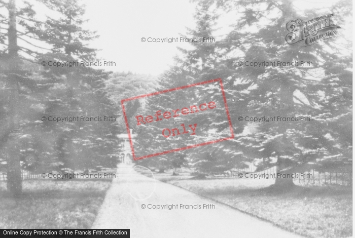 Photo of Pontrhydygroes, Hafod House Drive c.1955