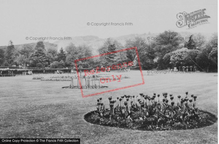 Photo of Pontypridd, Ynysangharad Park c.1955