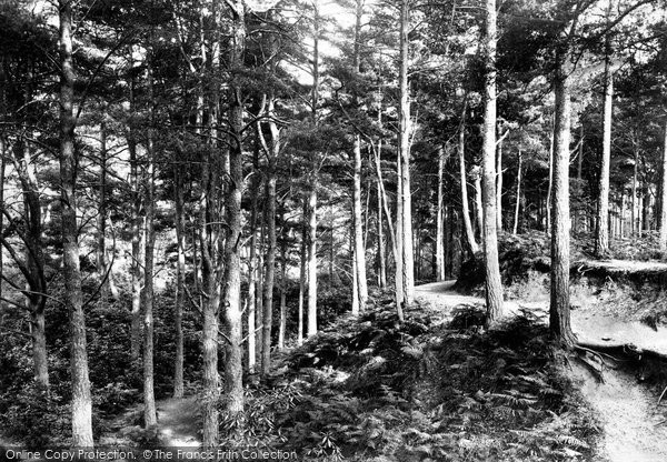 Photo of Poole, Branksome Chine 1890 - Francis Frith