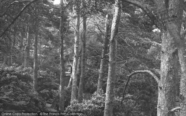 Photo of Poole, Branksome Chine 1890