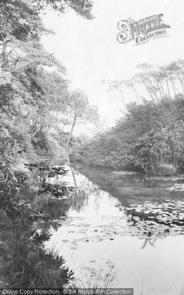 Photo of Poole, Branksome Chine 1908