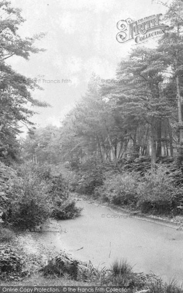 Photo of Poole, Branksome Chine 1908