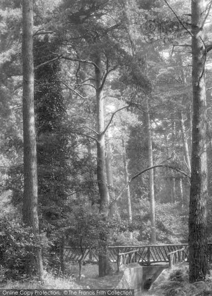 Photo of Poole, Branksome Chine 1931