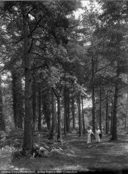 Photo of Poole, Branksome Chine 1931