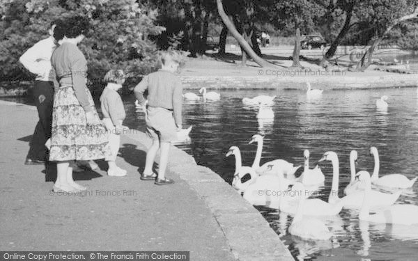 Photo of Poole, Park, People And Swans c.1965