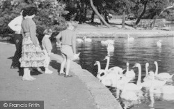 Park, People And Swans c.1965, Poole