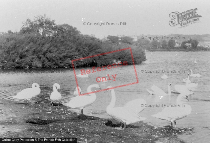 Photo of Poole, People's Park, The Swans 1900