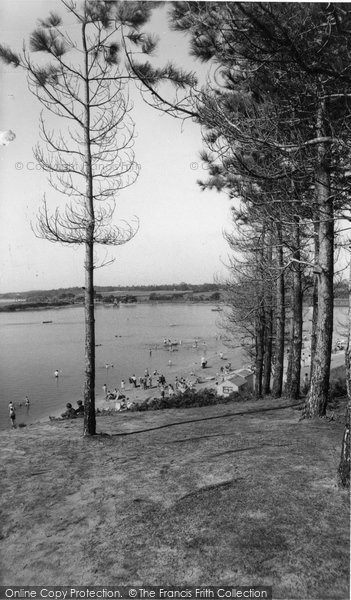 Photo of Poole, Rockley Sands, A Peep Through The Pine Trees c.1960
