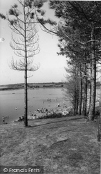 Rockley Sands, A Peep Through The Pine Trees c.1960, Poole
