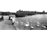 The Park Lake 1908, Poole