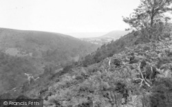 Vale And Horner Woods 1901, Porlock