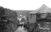 First And Last 1920, Port Isaac