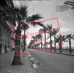 1948, Port Said