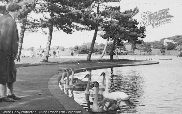 Photo of Portishead, Swans On The Boating Lake c.1960