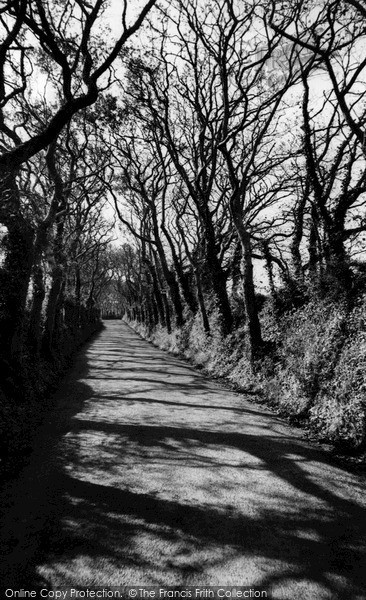 Photo of Portscatho, The Avenue c.1955