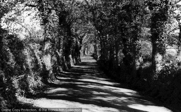Photo of Portscatho, The Avenue c.1955