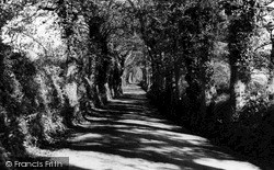 The Avenue c.1955, Portscatho