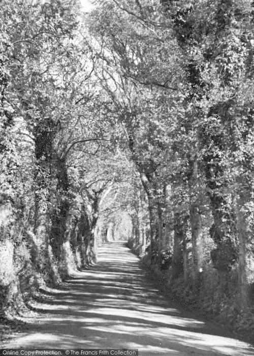 Photo of Portscatho, The Avenue c.1955