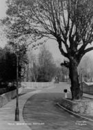 Manor Road c.1955, Portslade